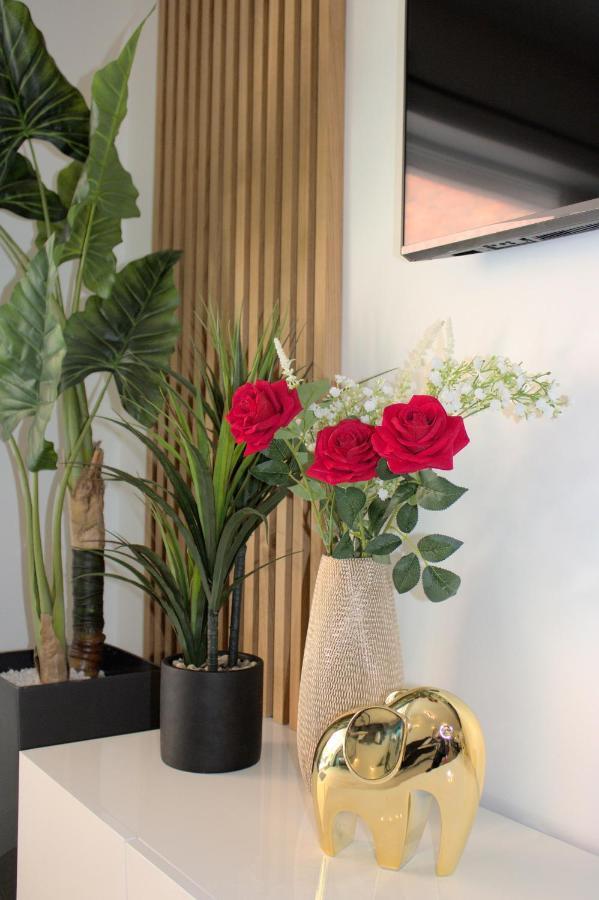 L'Escale Tropicale, Appartement Independant Avec Terrasse Privative Saint-Quentin  Esterno foto
