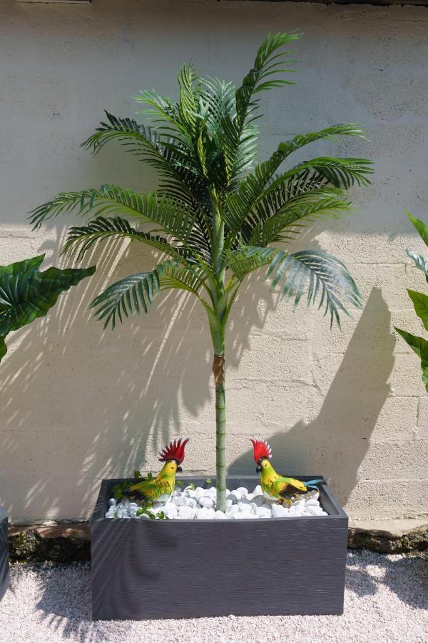 L'Escale Tropicale, Appartement Independant Avec Terrasse Privative Saint-Quentin  Esterno foto